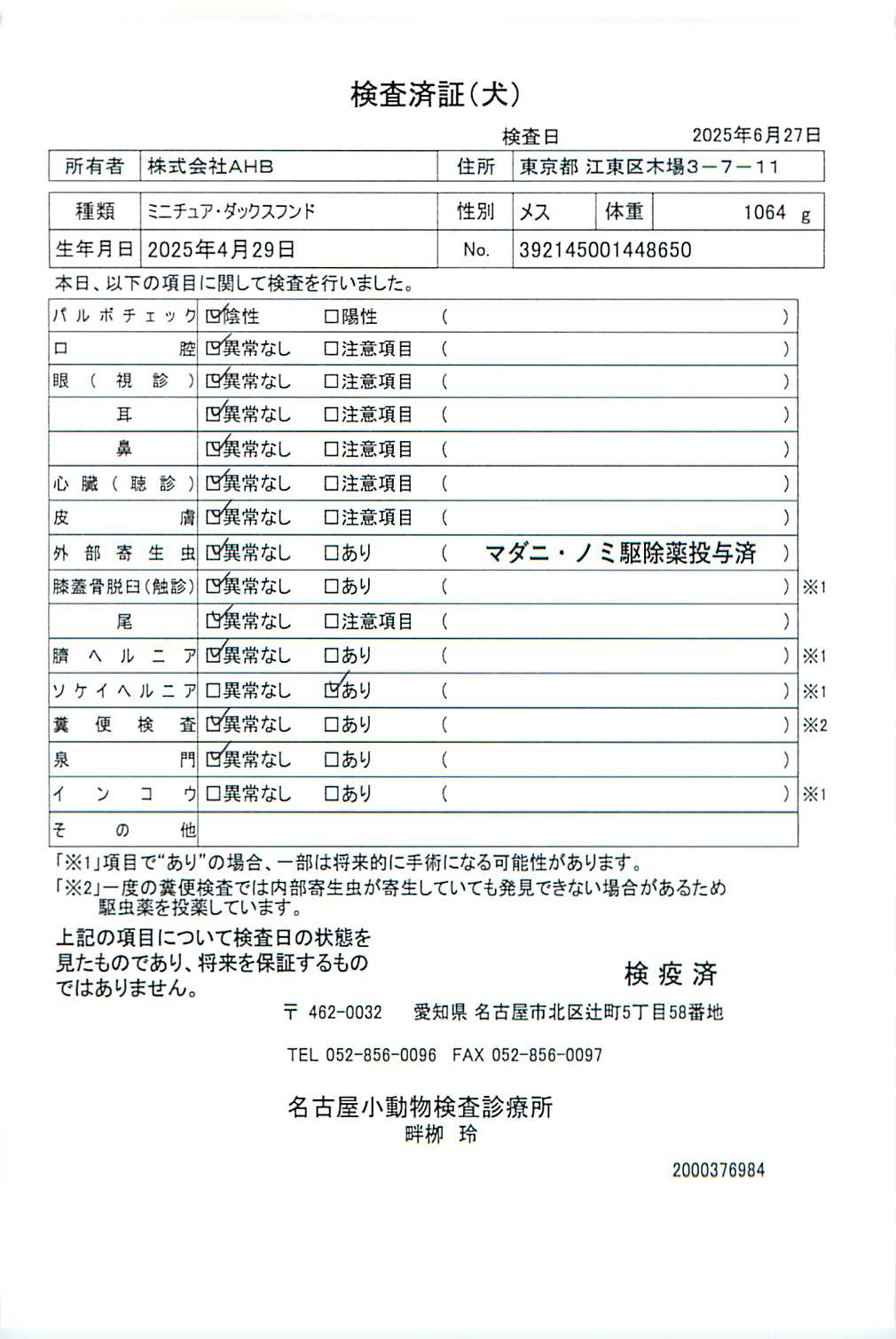 ミニチュア・ダックスフンド