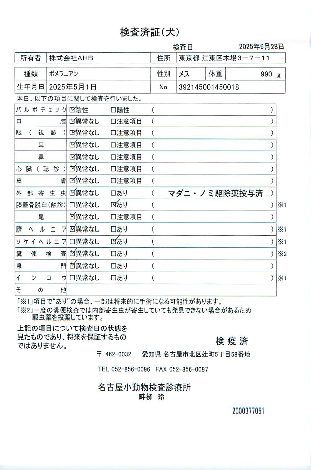 ポメラニアン