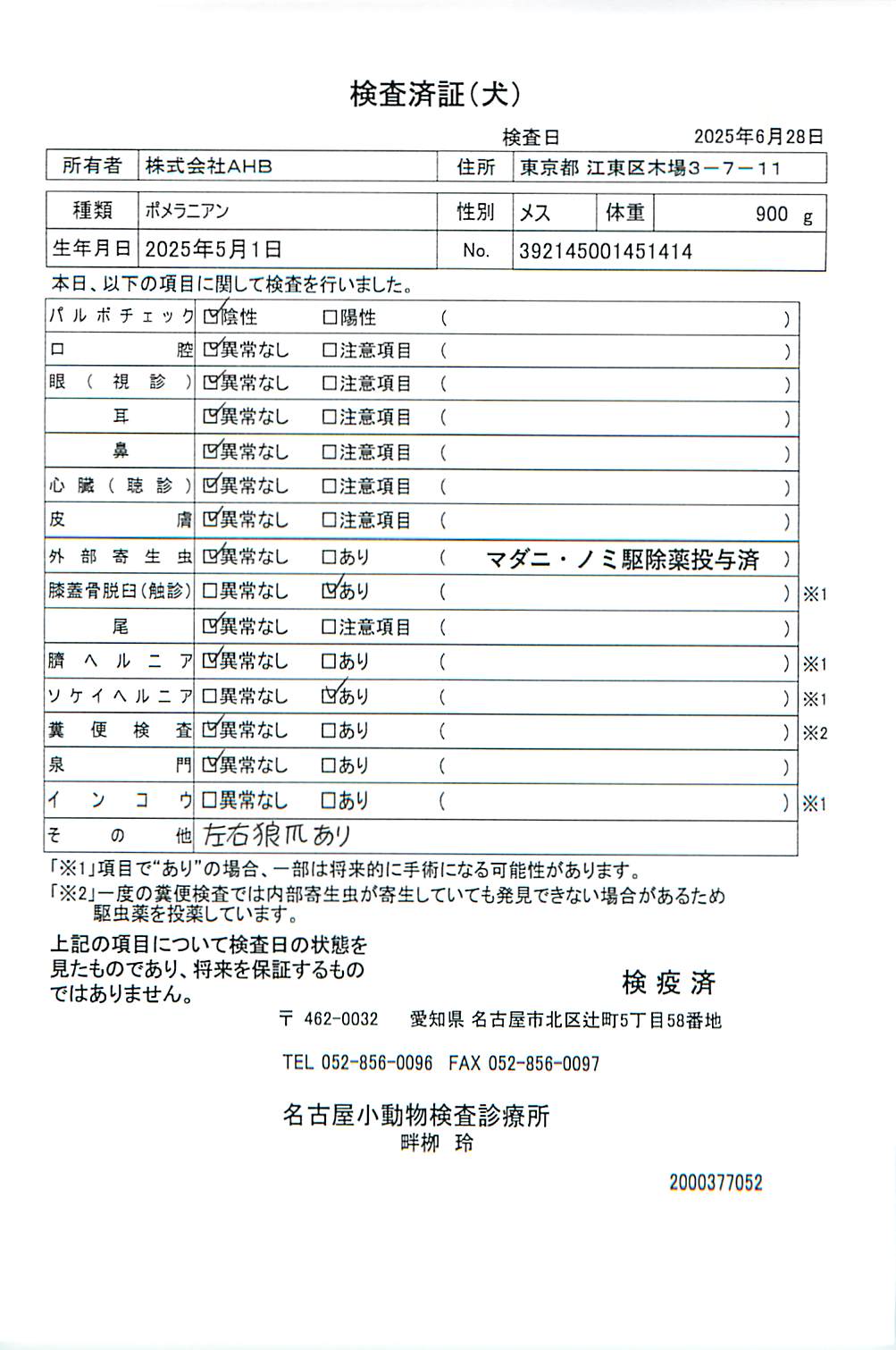 ポメラニアン