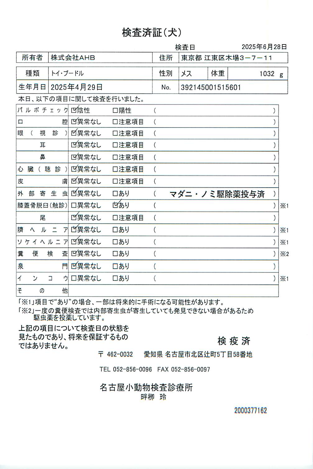 トイ・プードル