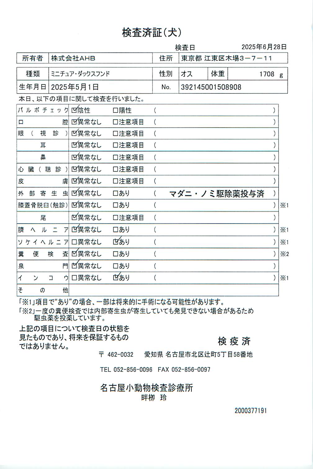 ミニチュア・ダックスフンド