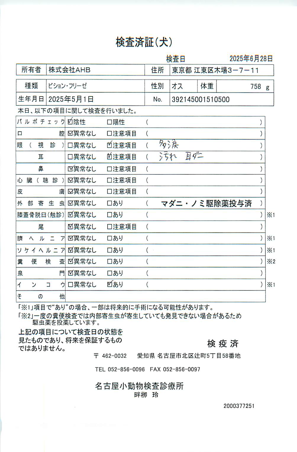 ビション・フリーゼ