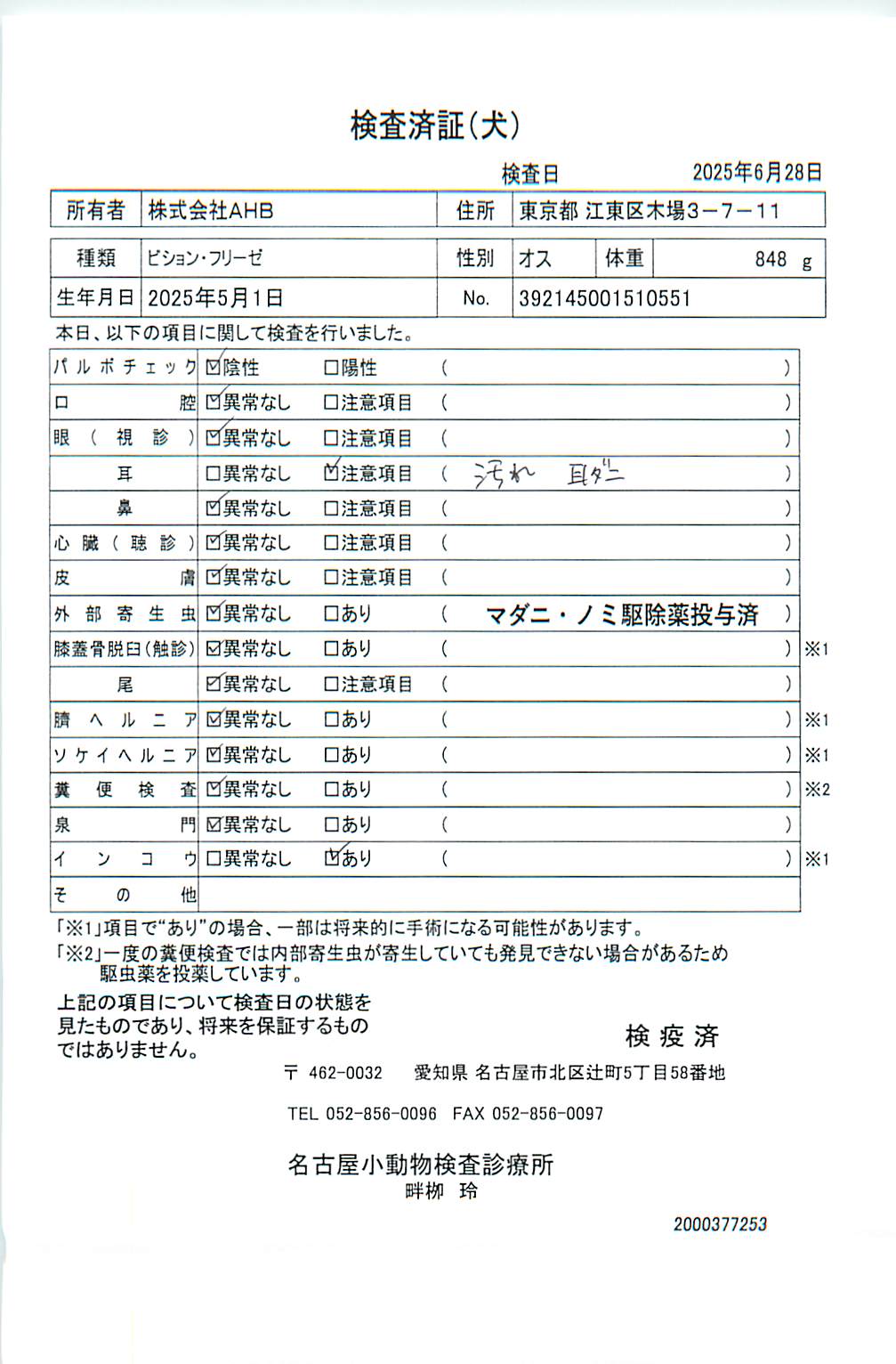 ビション・フリーゼ