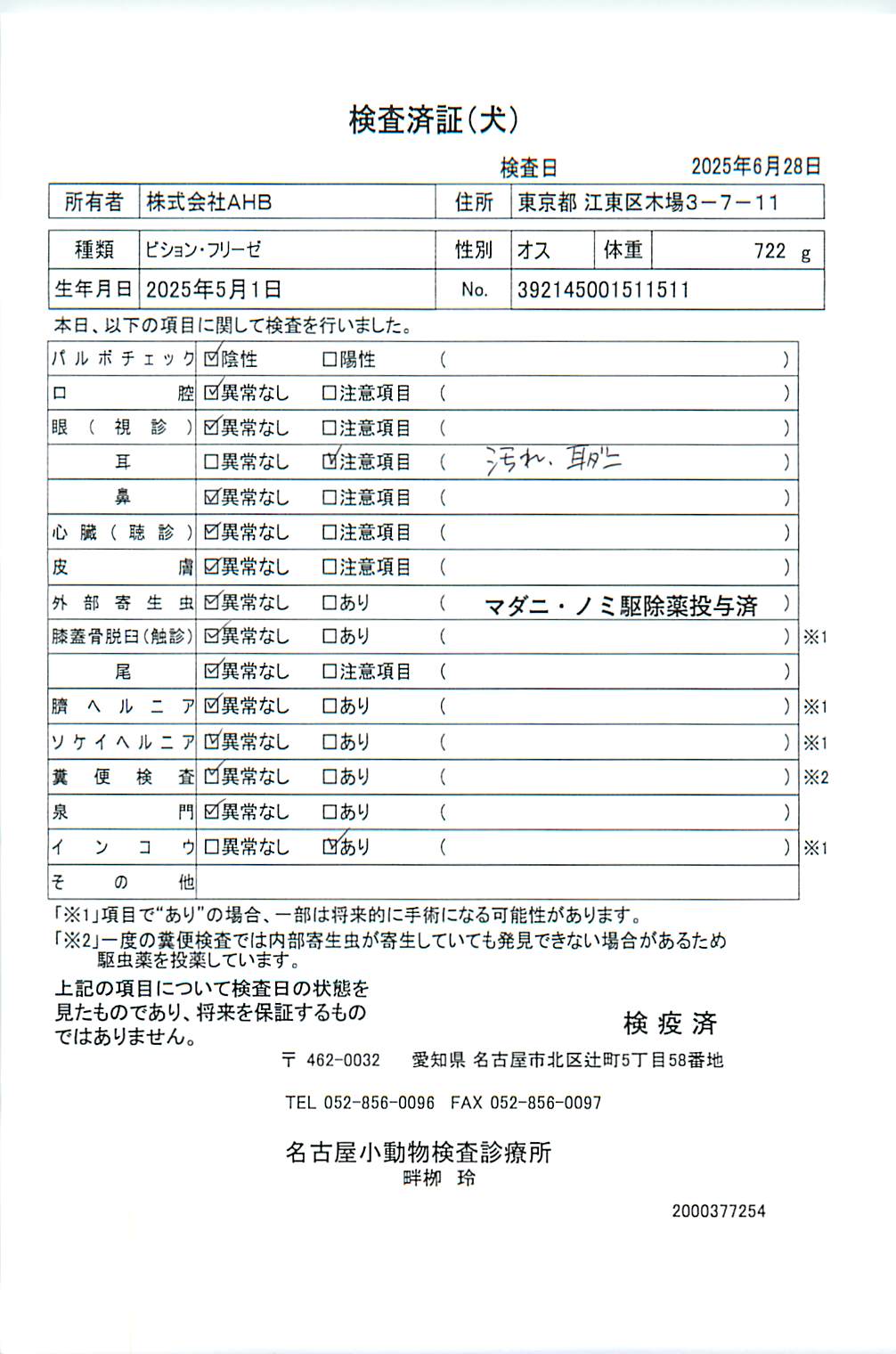 ビション・フリーゼ