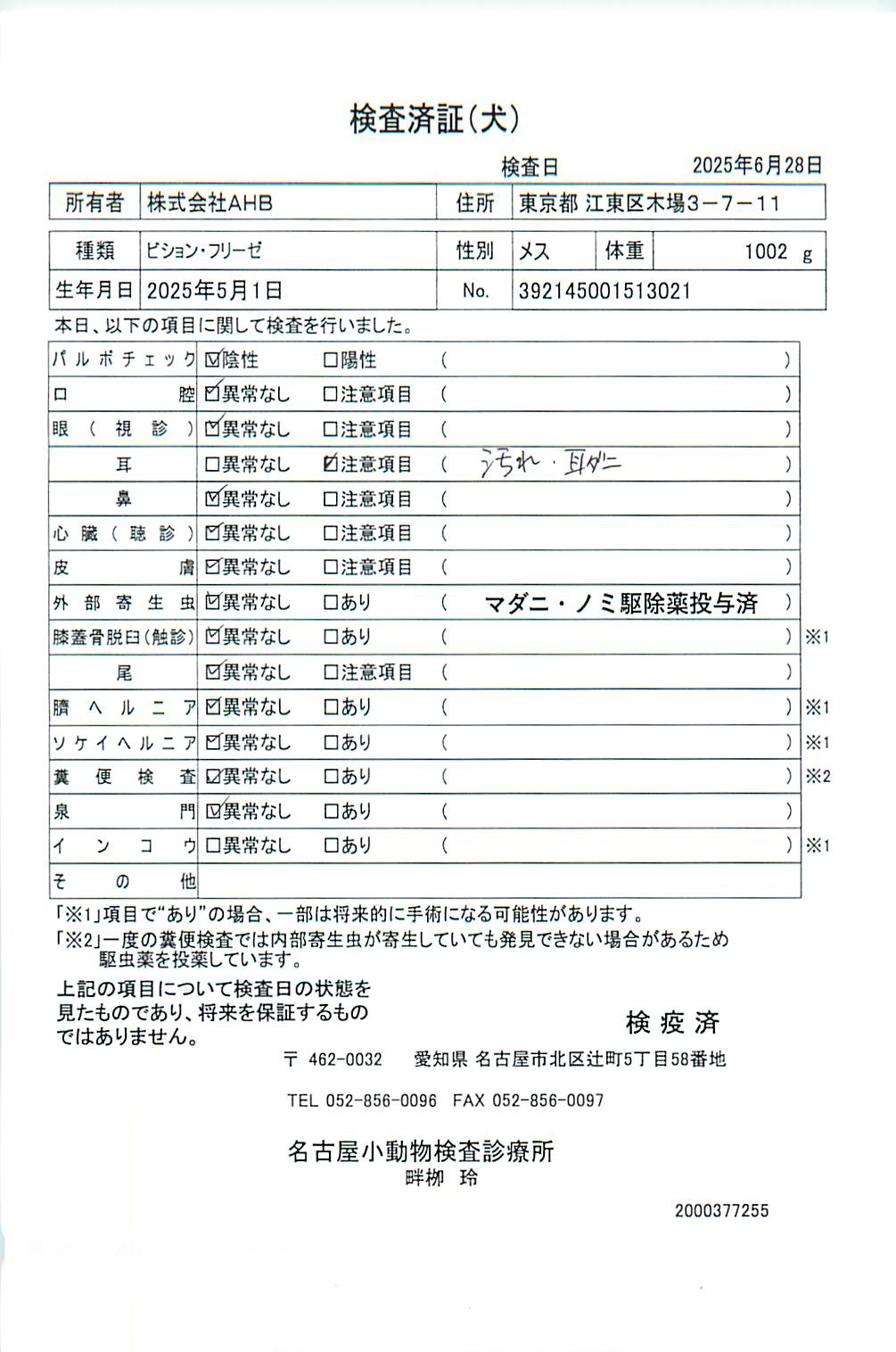 ビション・フリーゼ