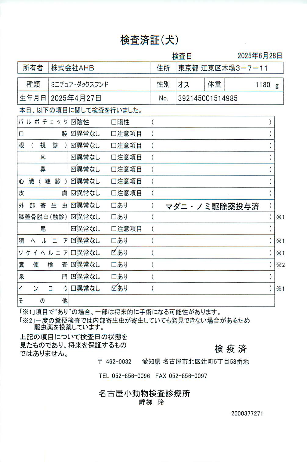 ミニチュア・ダックスフンド