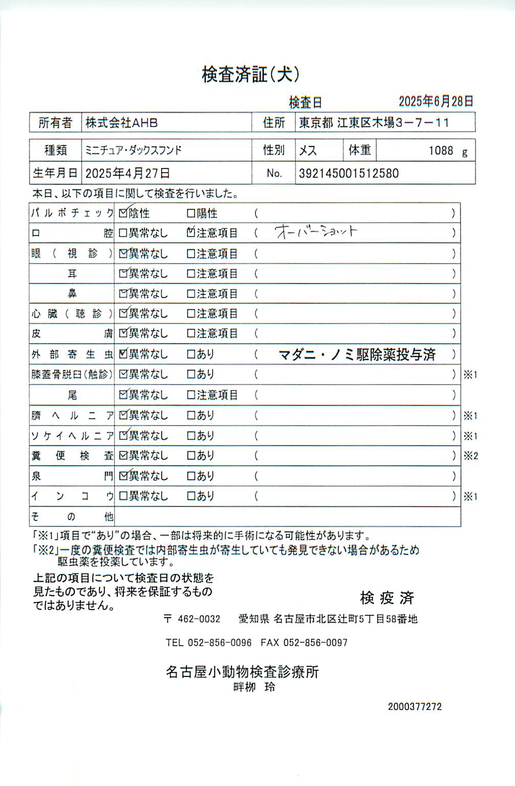 ミニチュア・ダックスフンド