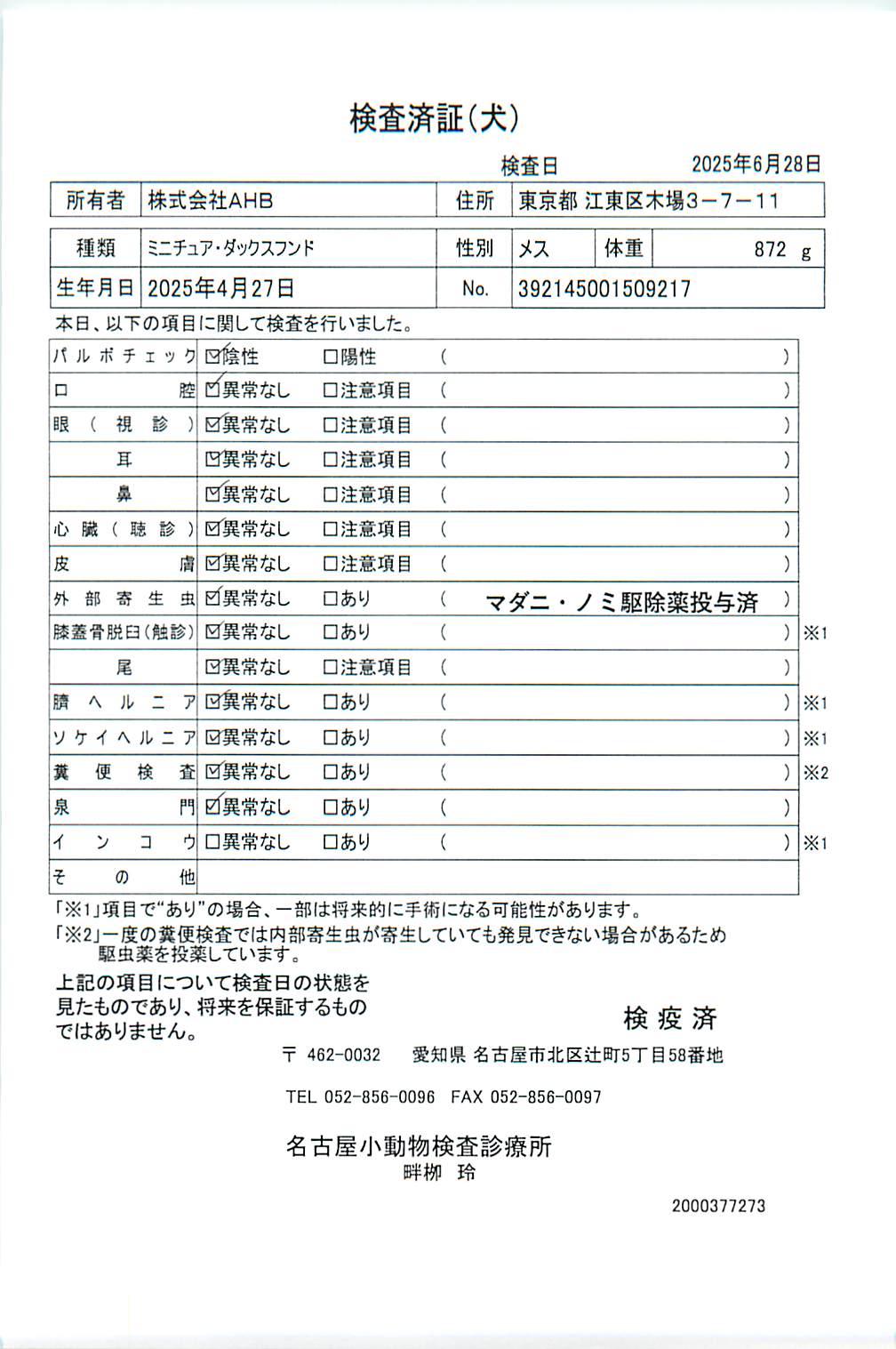 ミニチュア・ダックスフンド