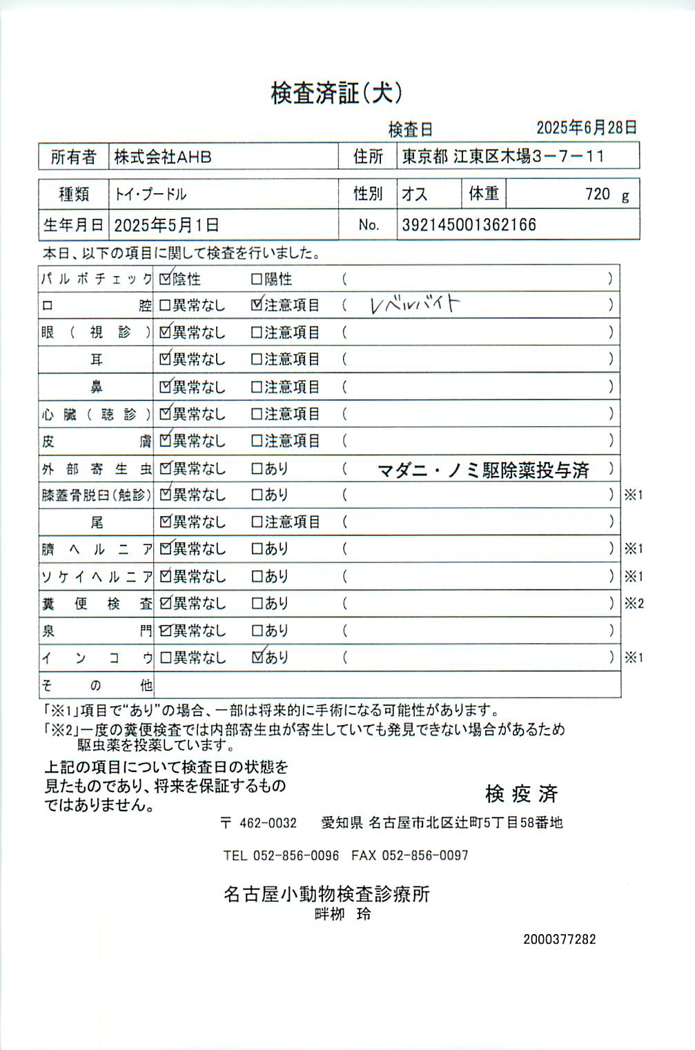 トイ・プードル