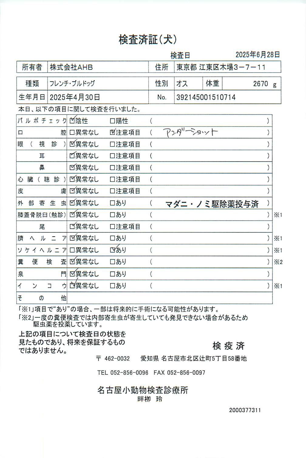 フレンチ・ブルドッグ
