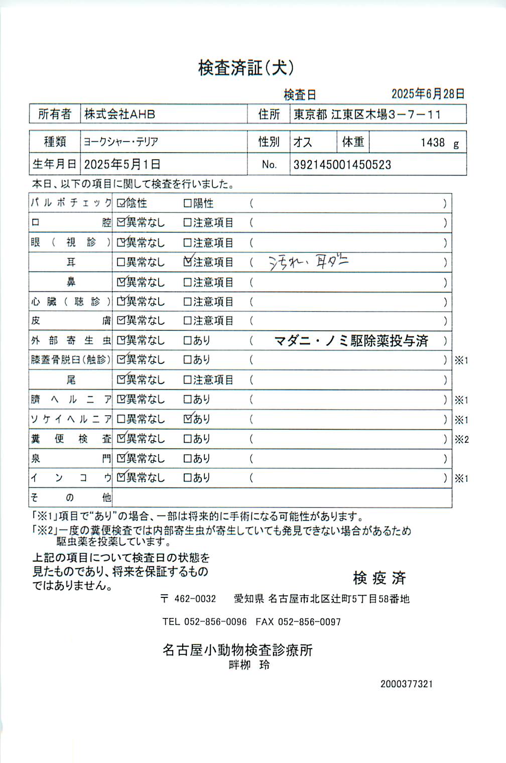 ヨークシャー・テリア