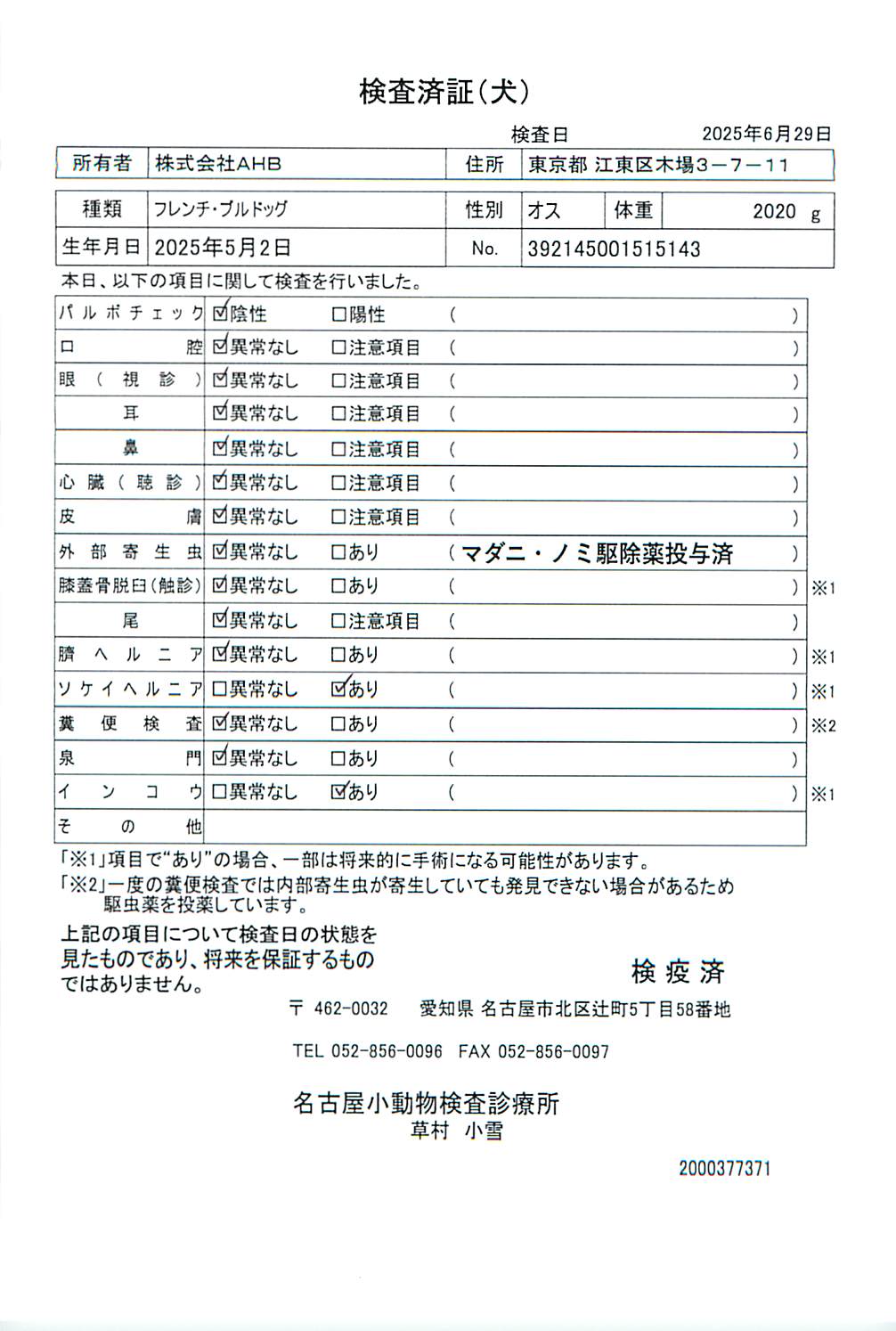フレンチ・ブルドッグ