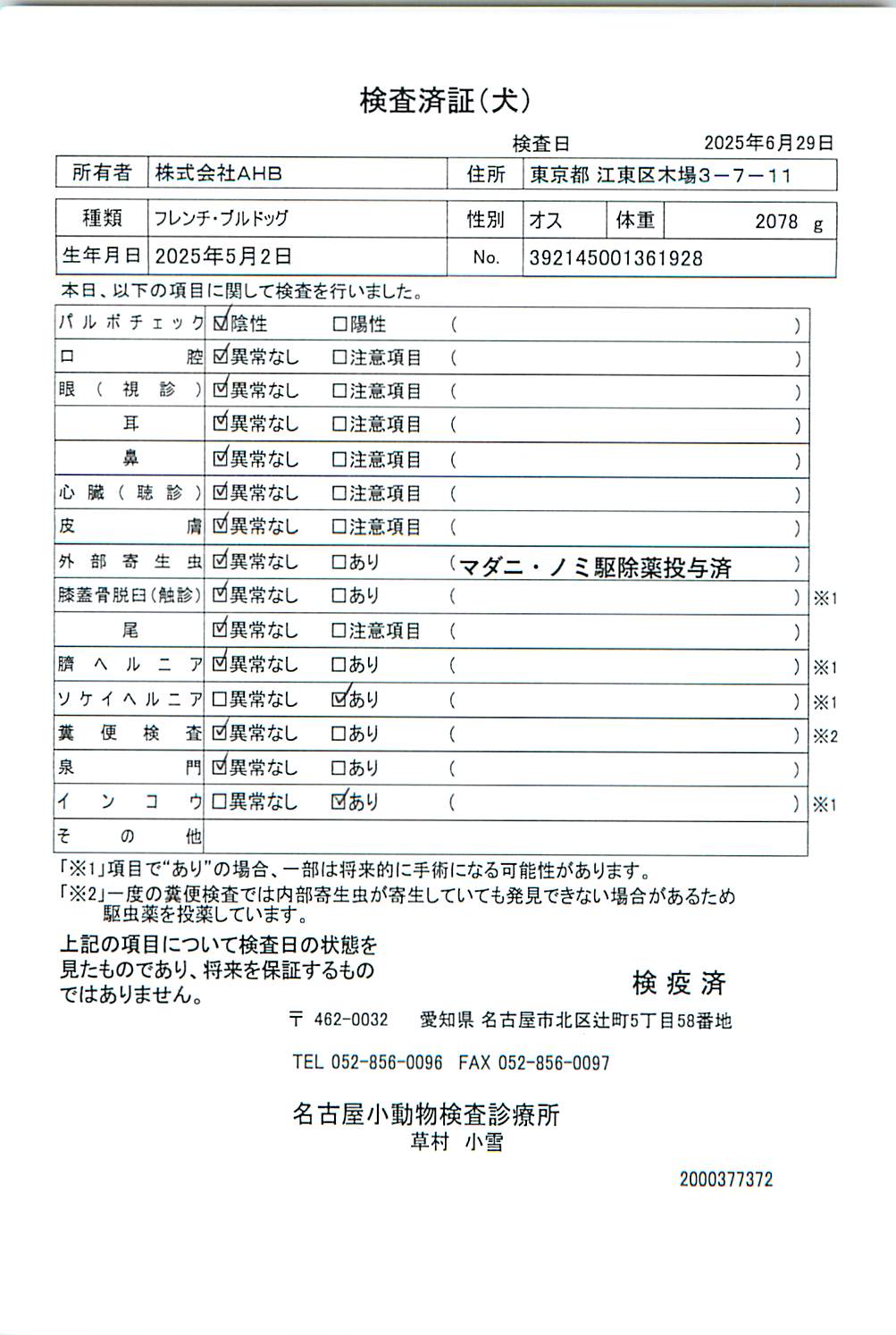 フレンチ・ブルドッグ
