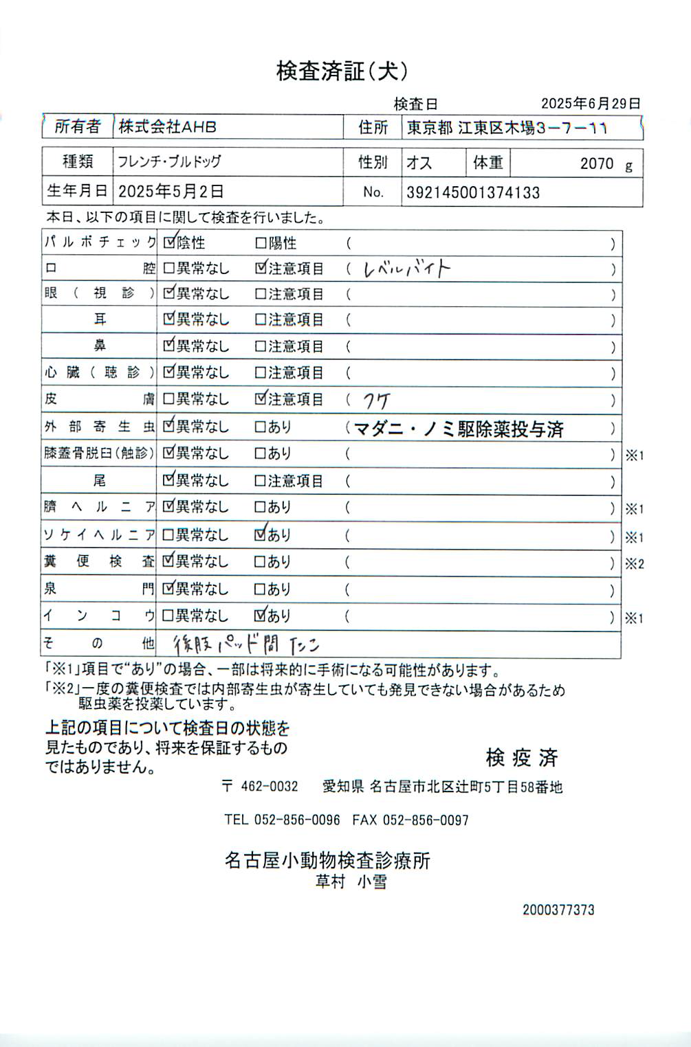 フレンチ・ブルドッグ