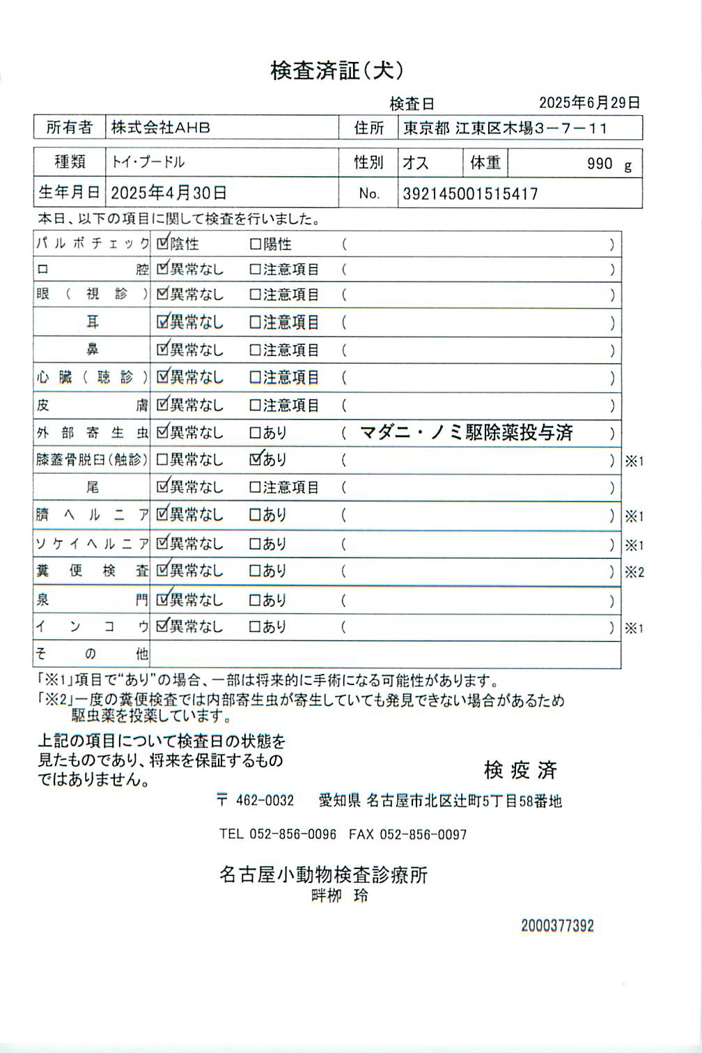 トイ・プードル