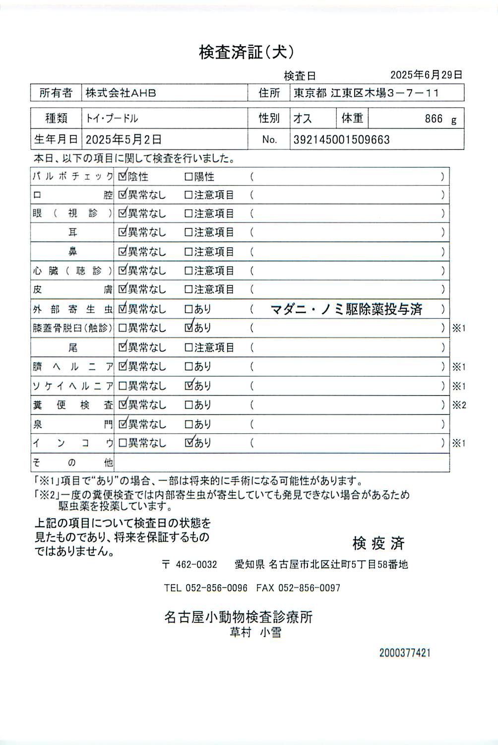 トイ・プードル