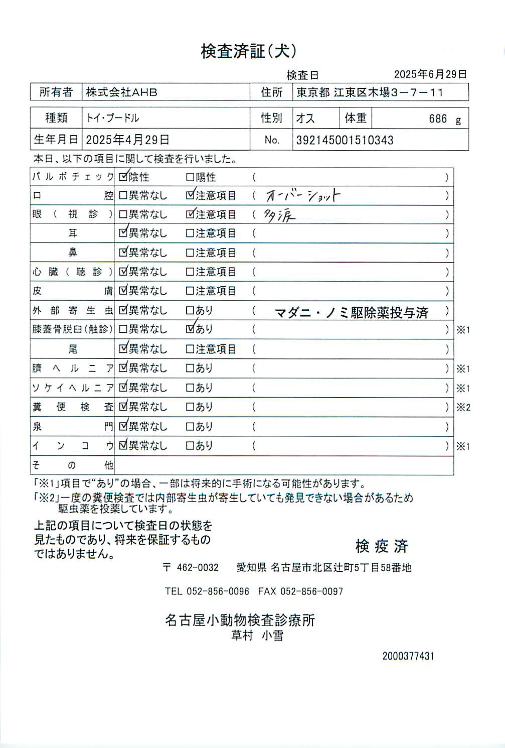 トイ・プードル