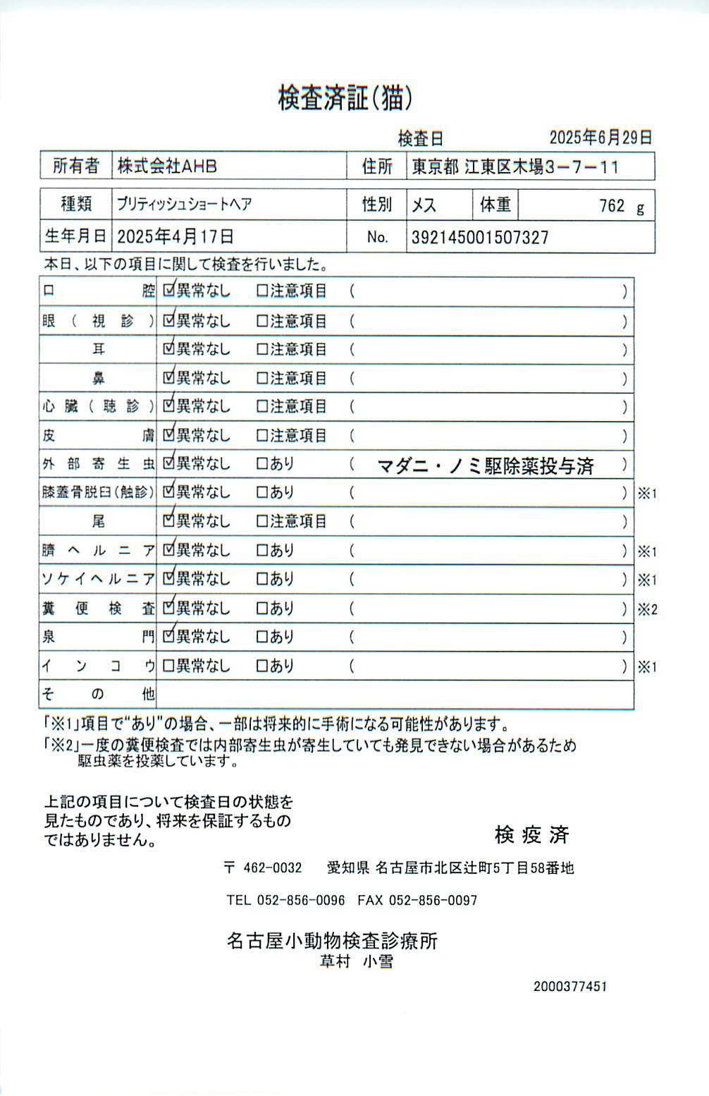 ブリティッシュショートヘア