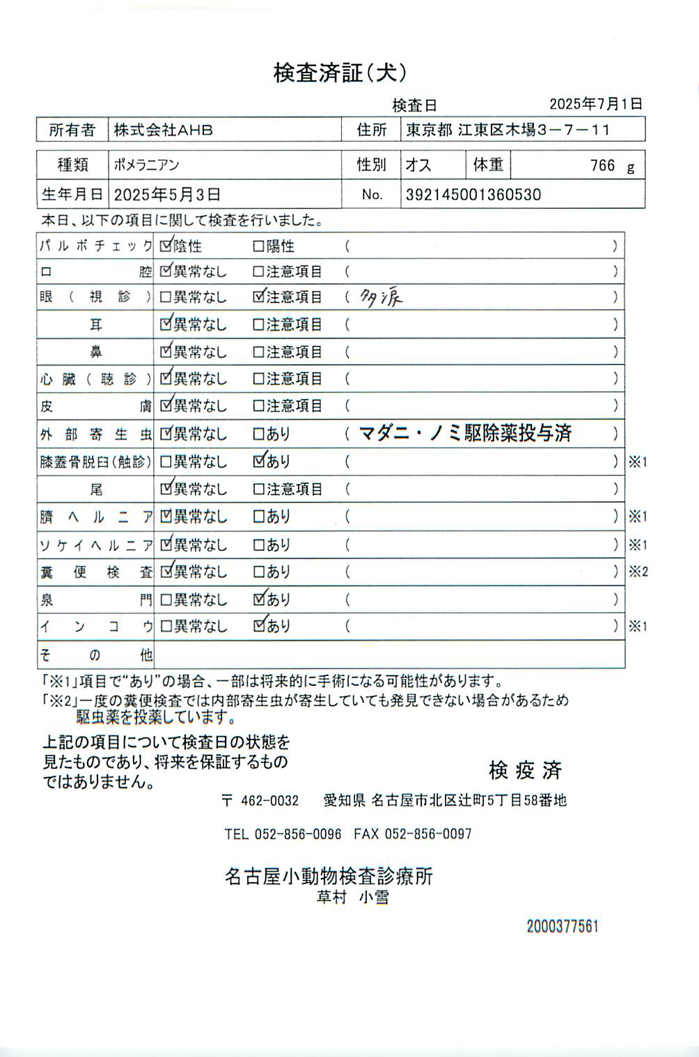 ポメラニアン