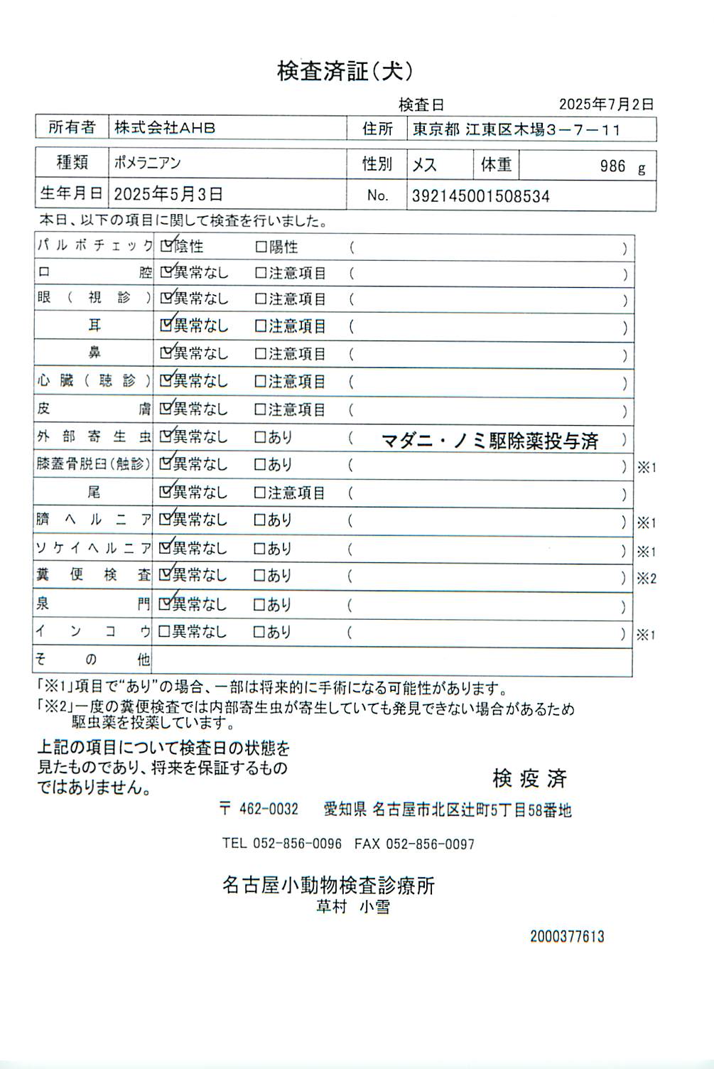 ポメラニアン