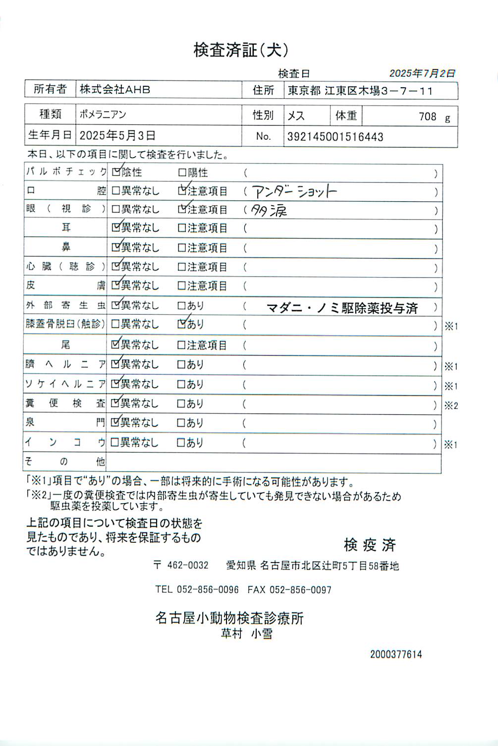 ポメラニアン