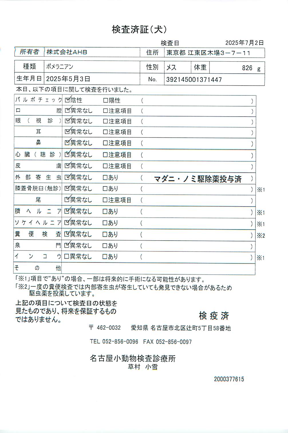 ポメラニアン