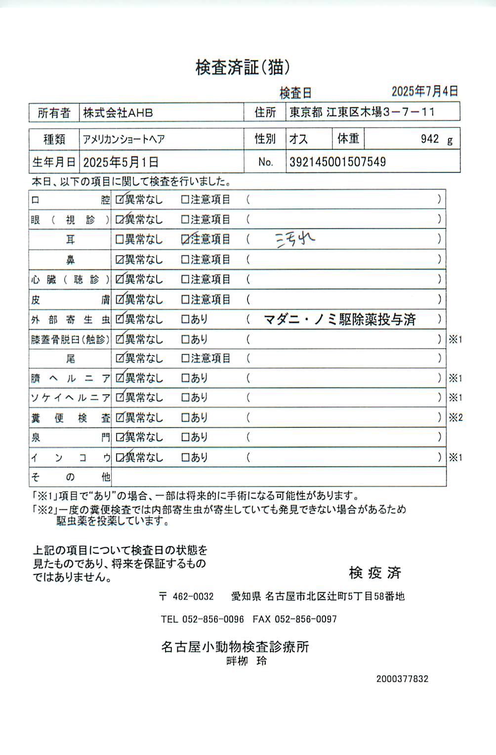 アメリカンショートヘア