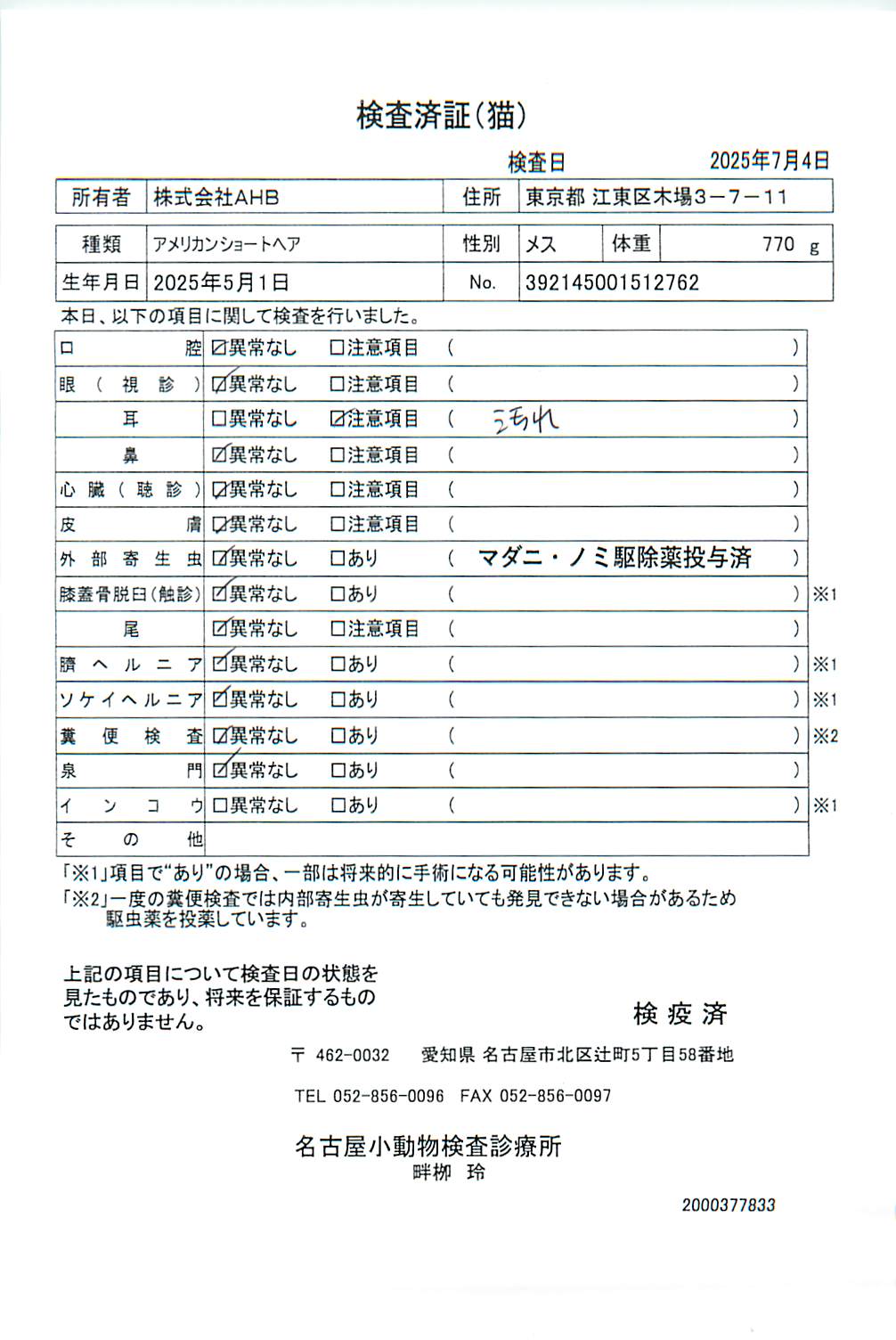 アメリカンショートヘア