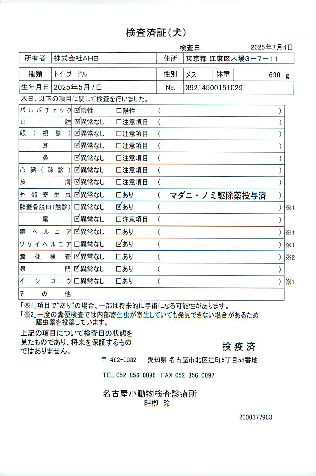 トイ・プードル