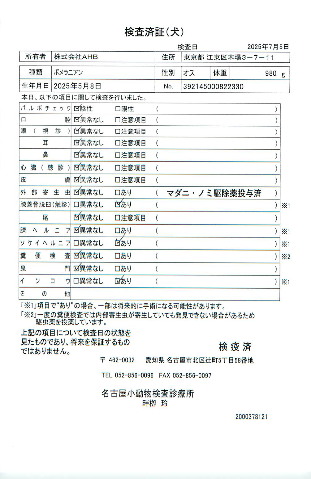 ポメラニアン