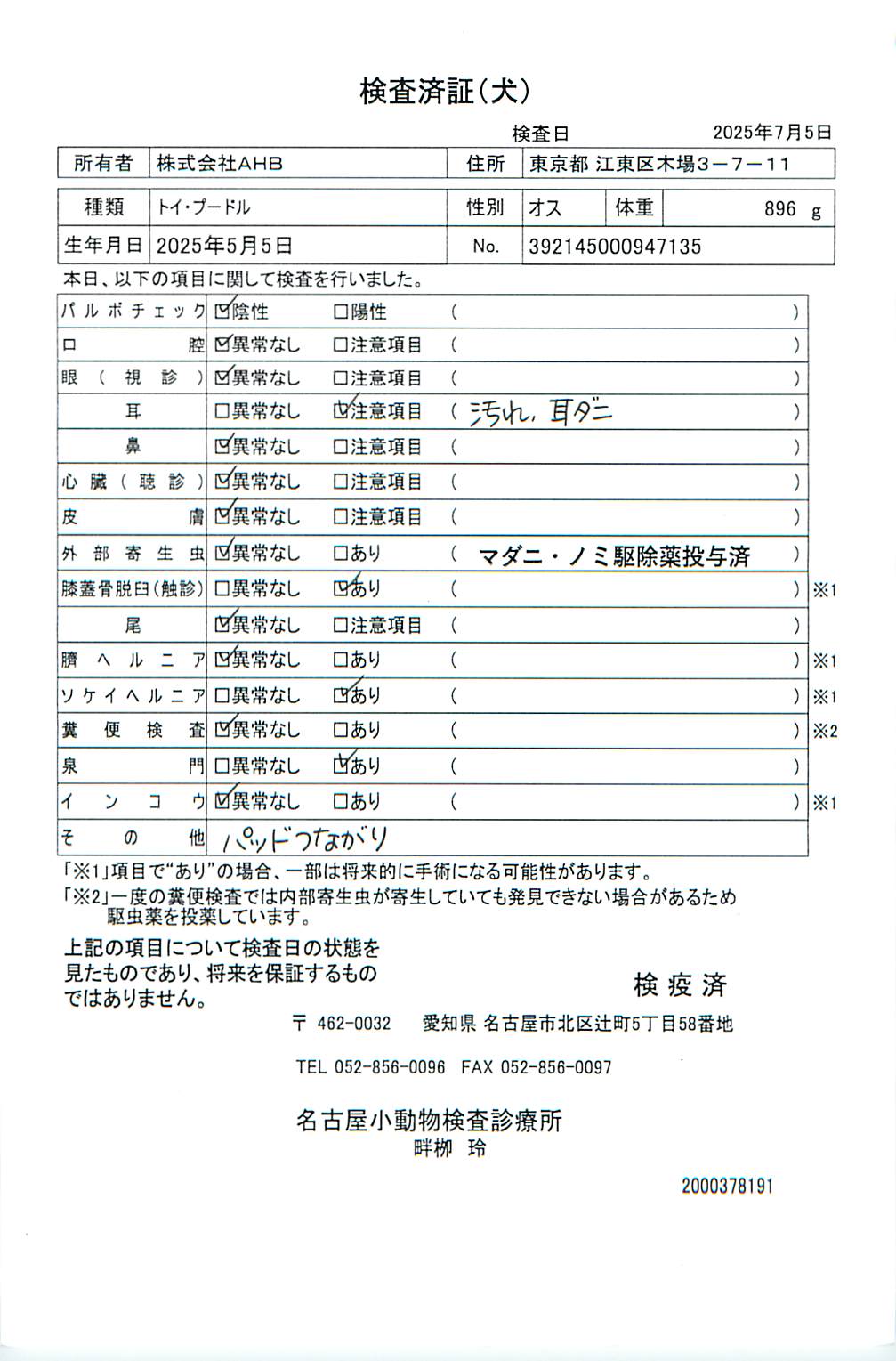 トイ・プードル