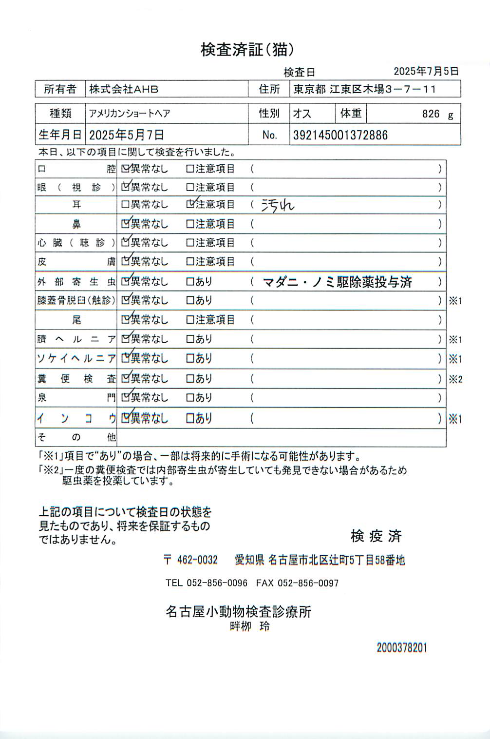 アメリカンショートヘア