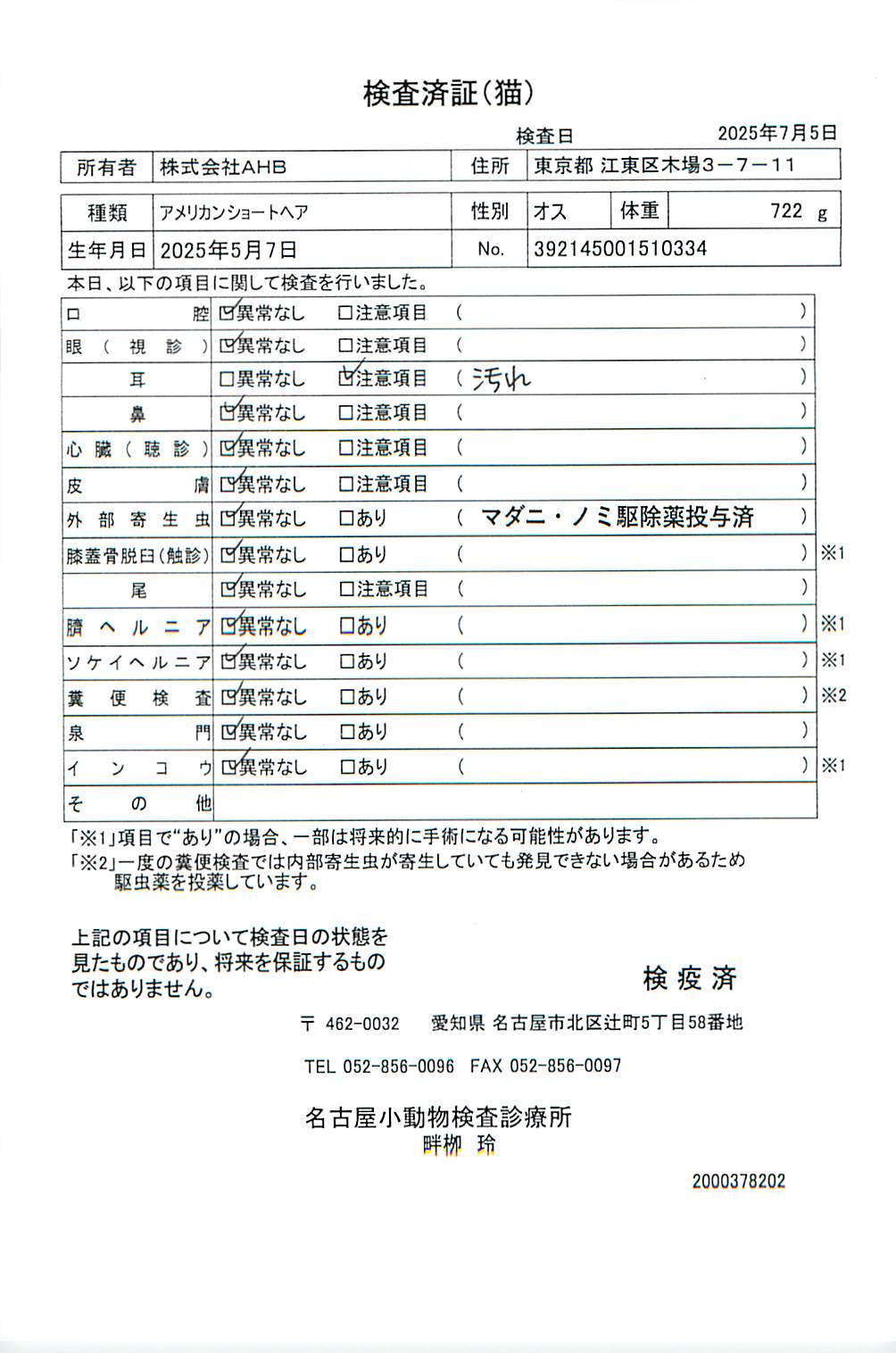 アメリカンショートヘア