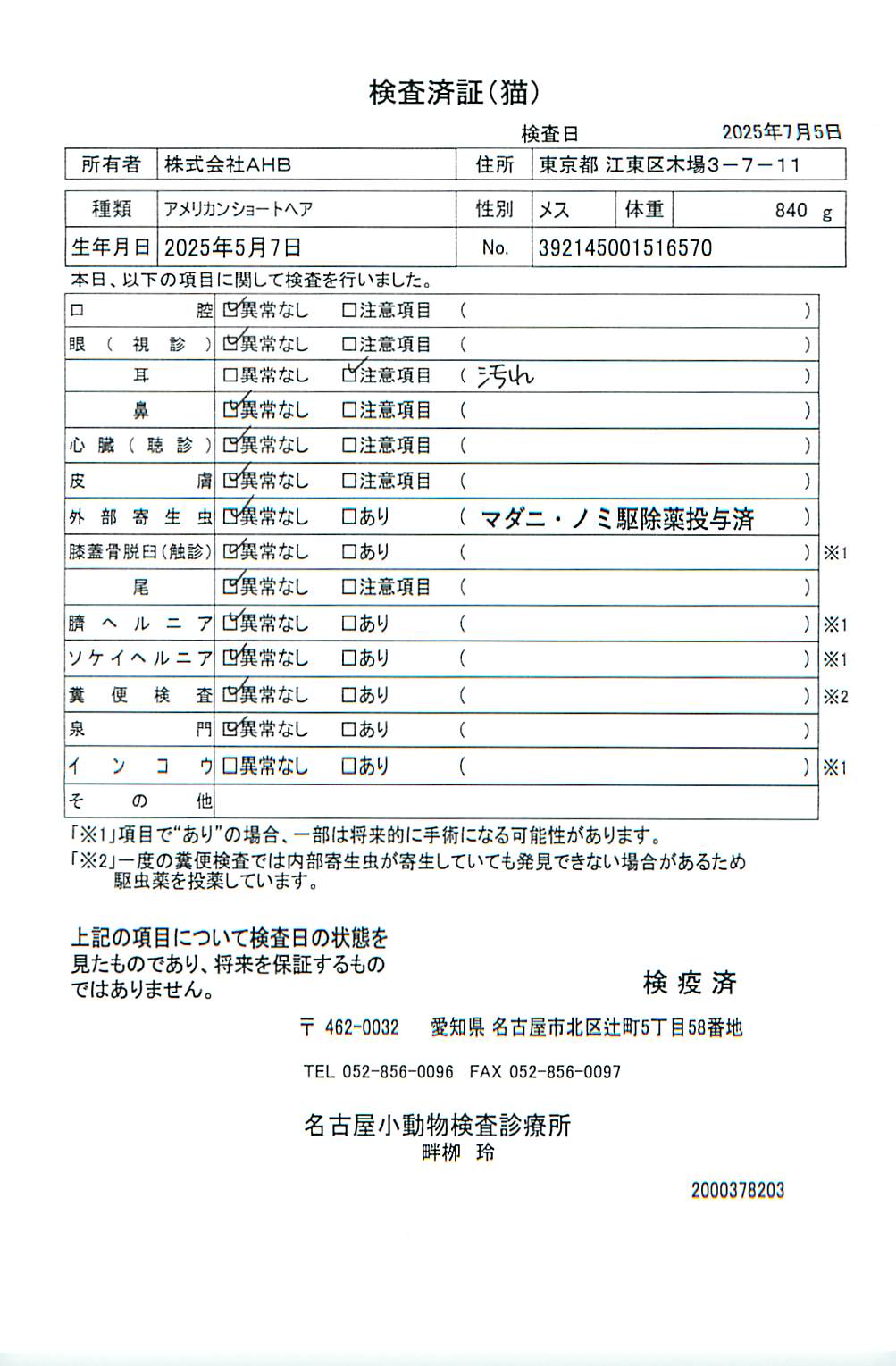 アメリカンショートヘア