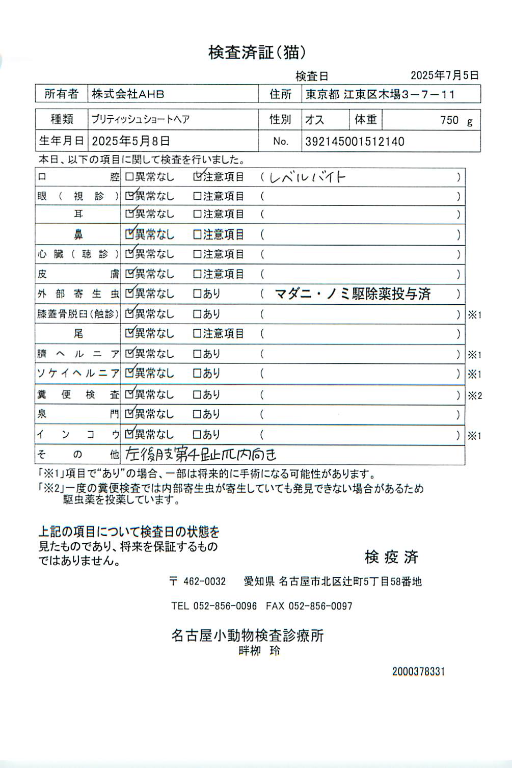 ブリティッシュショートヘア