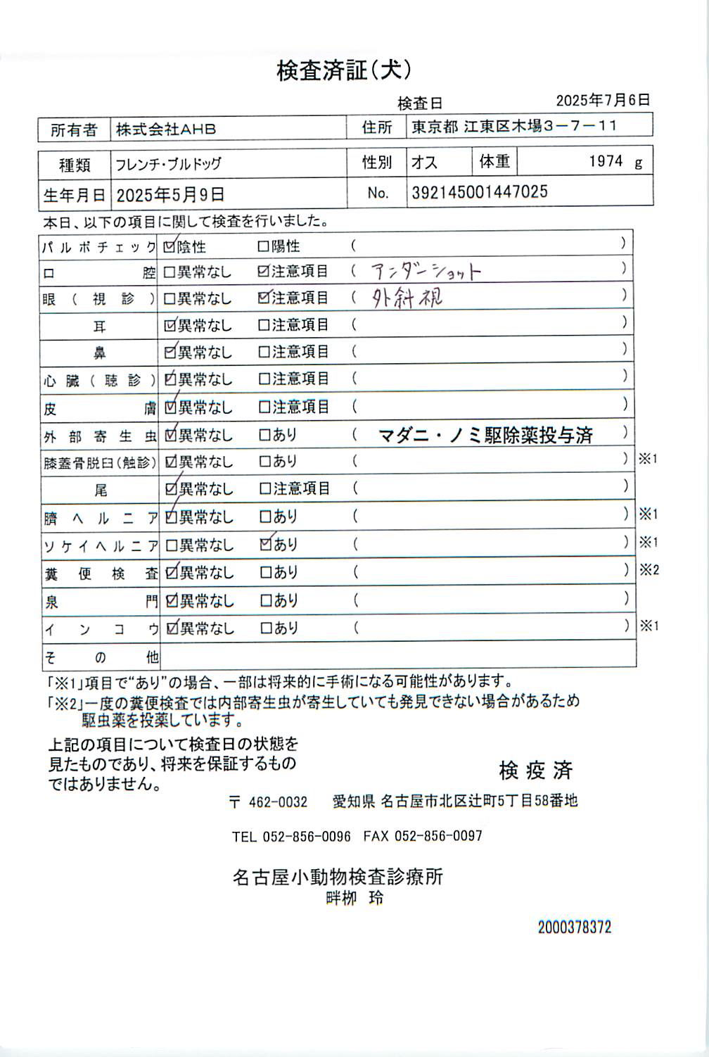 フレンチ・ブルドッグ