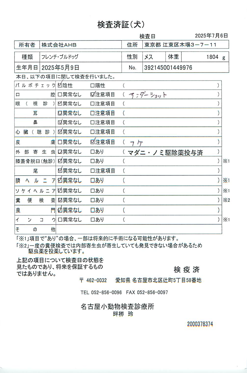 フレンチ・ブルドッグ