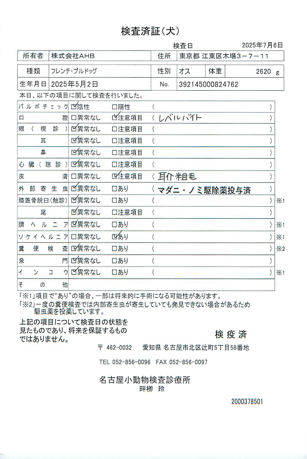 フレンチ・ブルドッグ