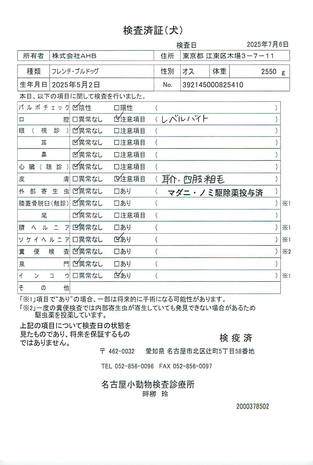 フレンチ・ブルドッグ