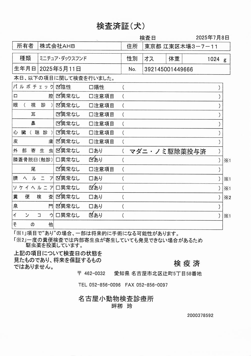 ミニチュア・ダックスフンド