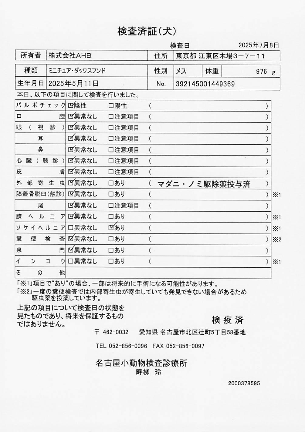 ミニチュア・ダックスフンド