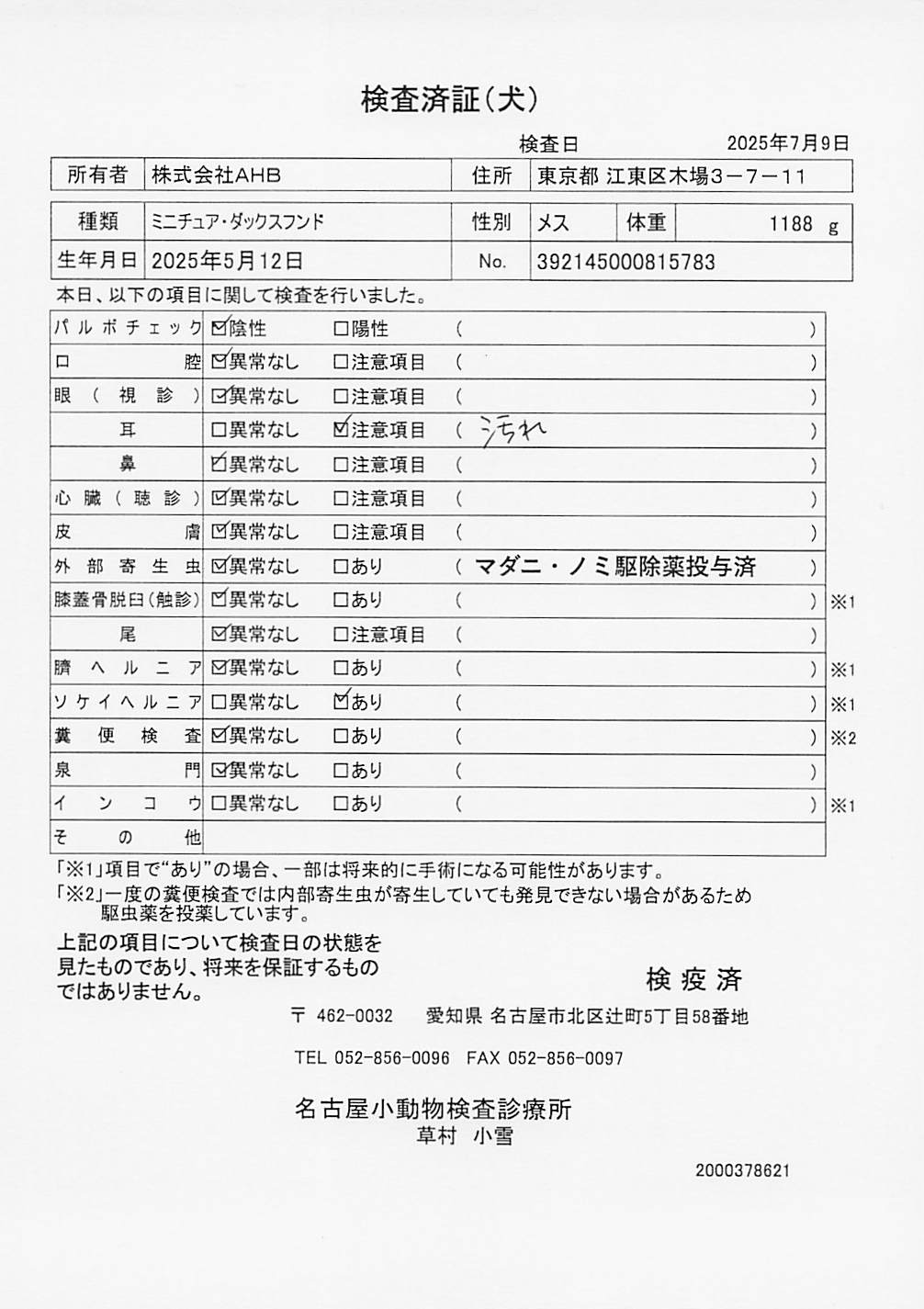 ミニチュア・ダックスフンド
