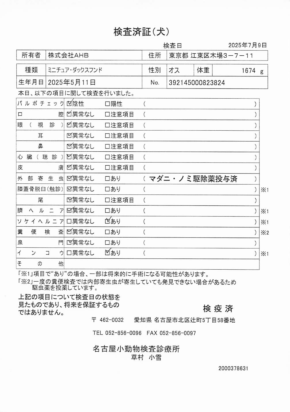 ミニチュア・ダックスフンド