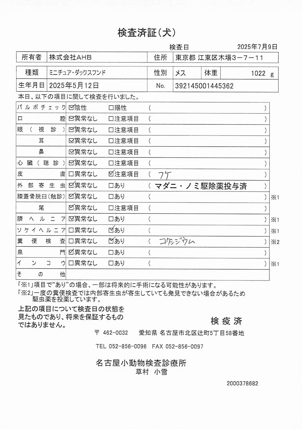 ミニチュア・ダックスフンド