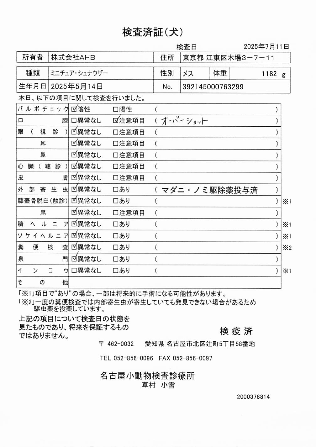ミニチュア・シュナウザー