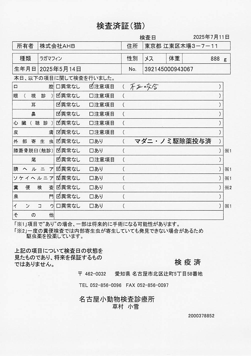 ラガマフィン