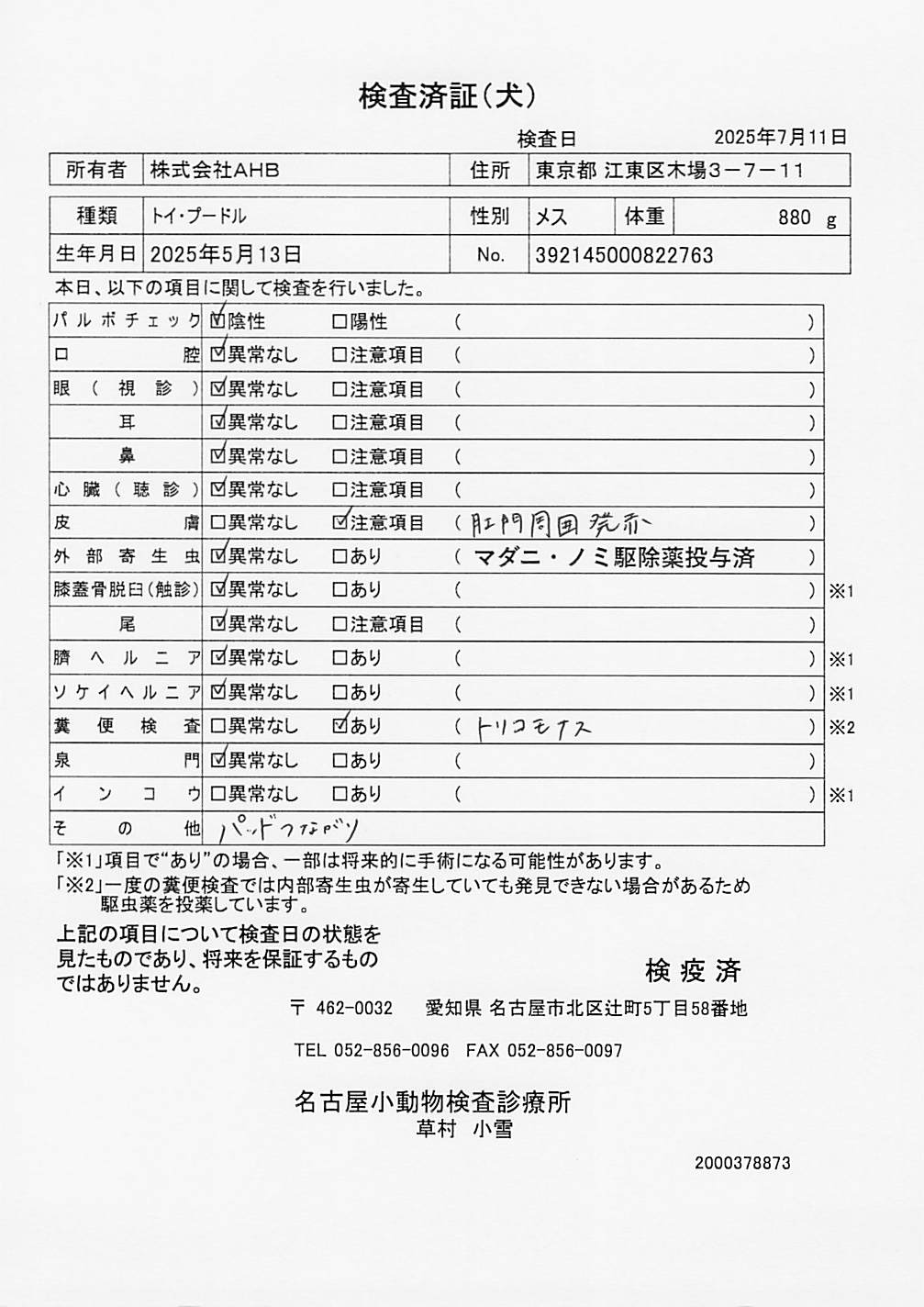 トイ・プードル