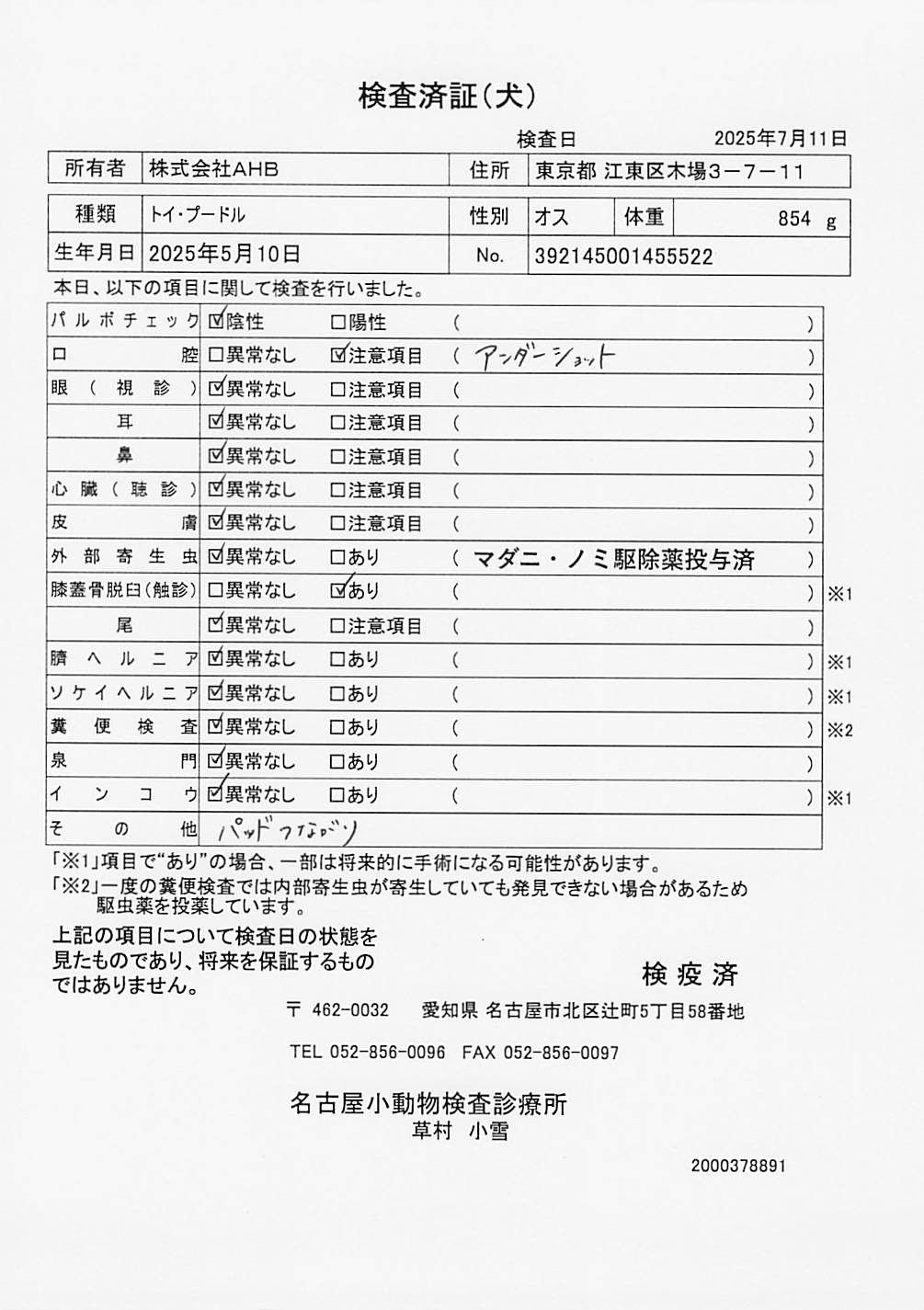 トイ・プードル