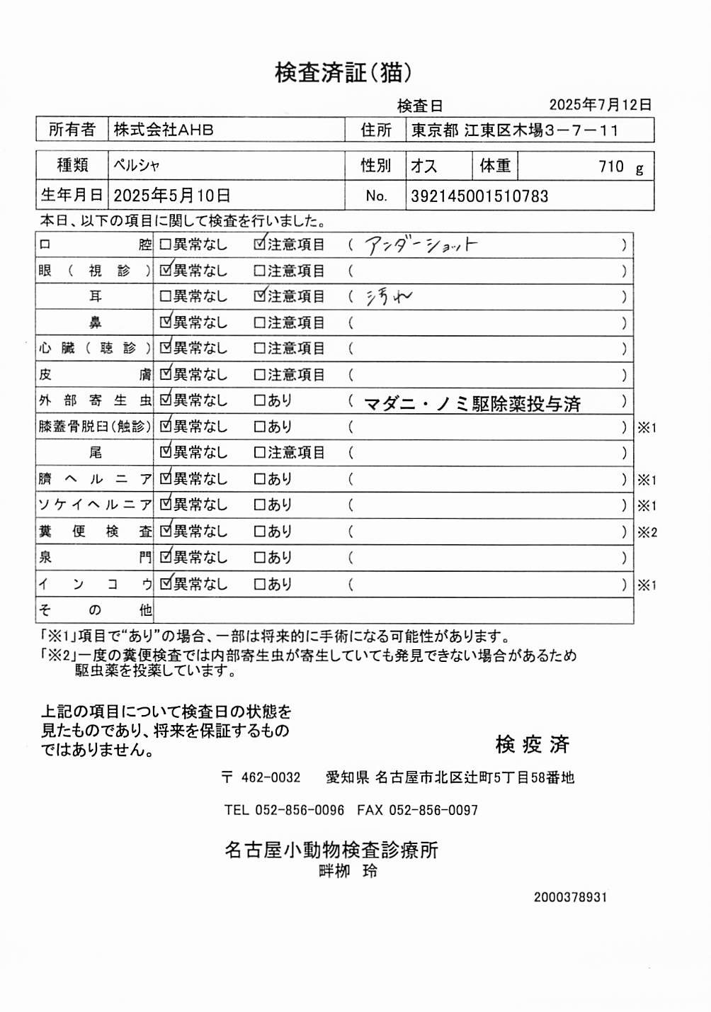 ペルシャ