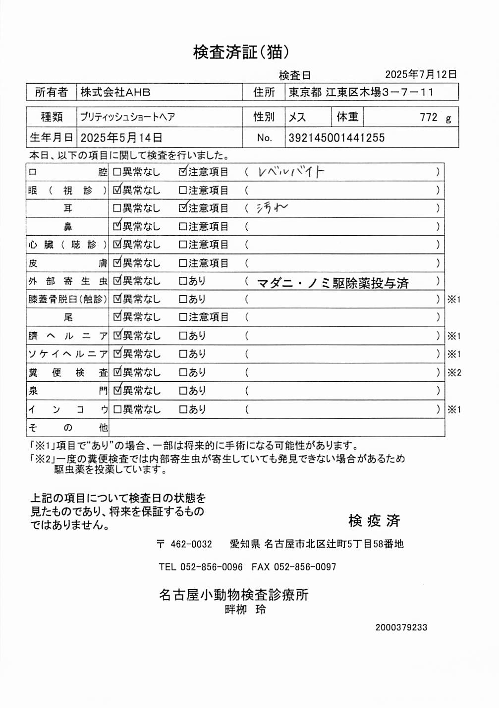 ブリティッシュショートヘア